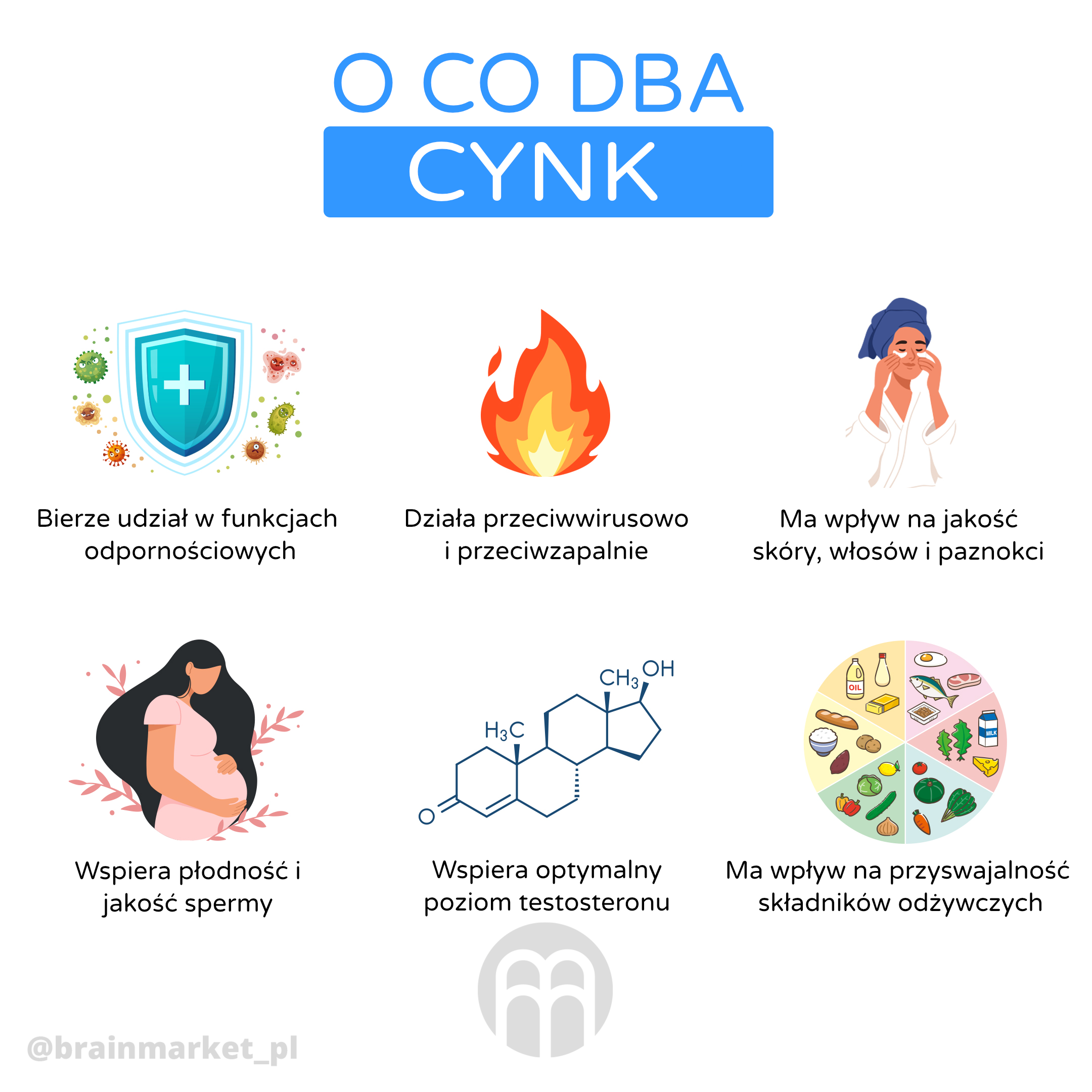 zinek_infografika_brainmarket_pl